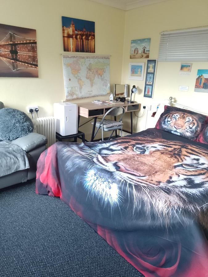 Studio Pad Daire Cardiff Dış mekan fotoğraf